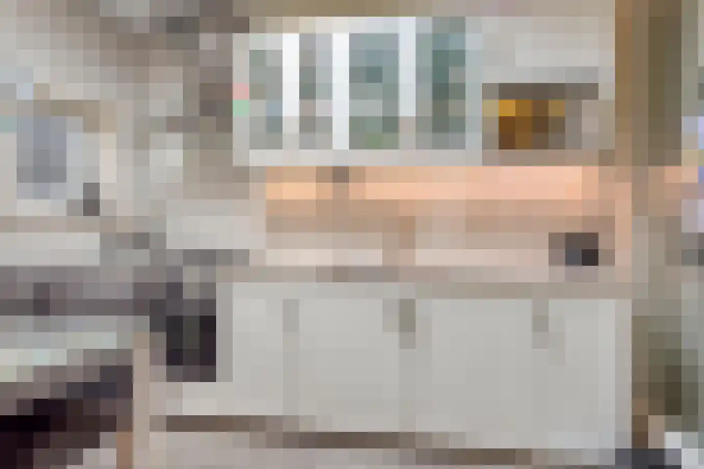 Apeldoornselaan 55 Den Haag thumbnail 19