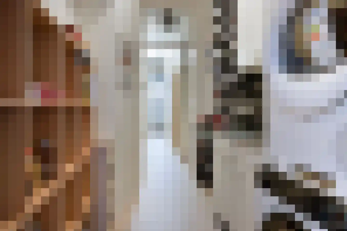 Apeldoornselaan 55 Den Haag thumbnail 33