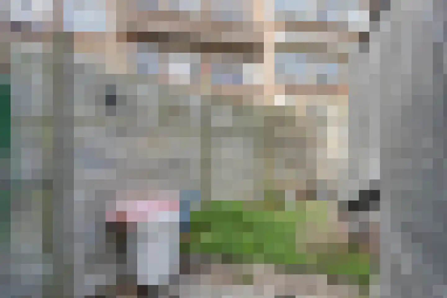 Apeldoornselaan 55 Den Haag thumbnail 38