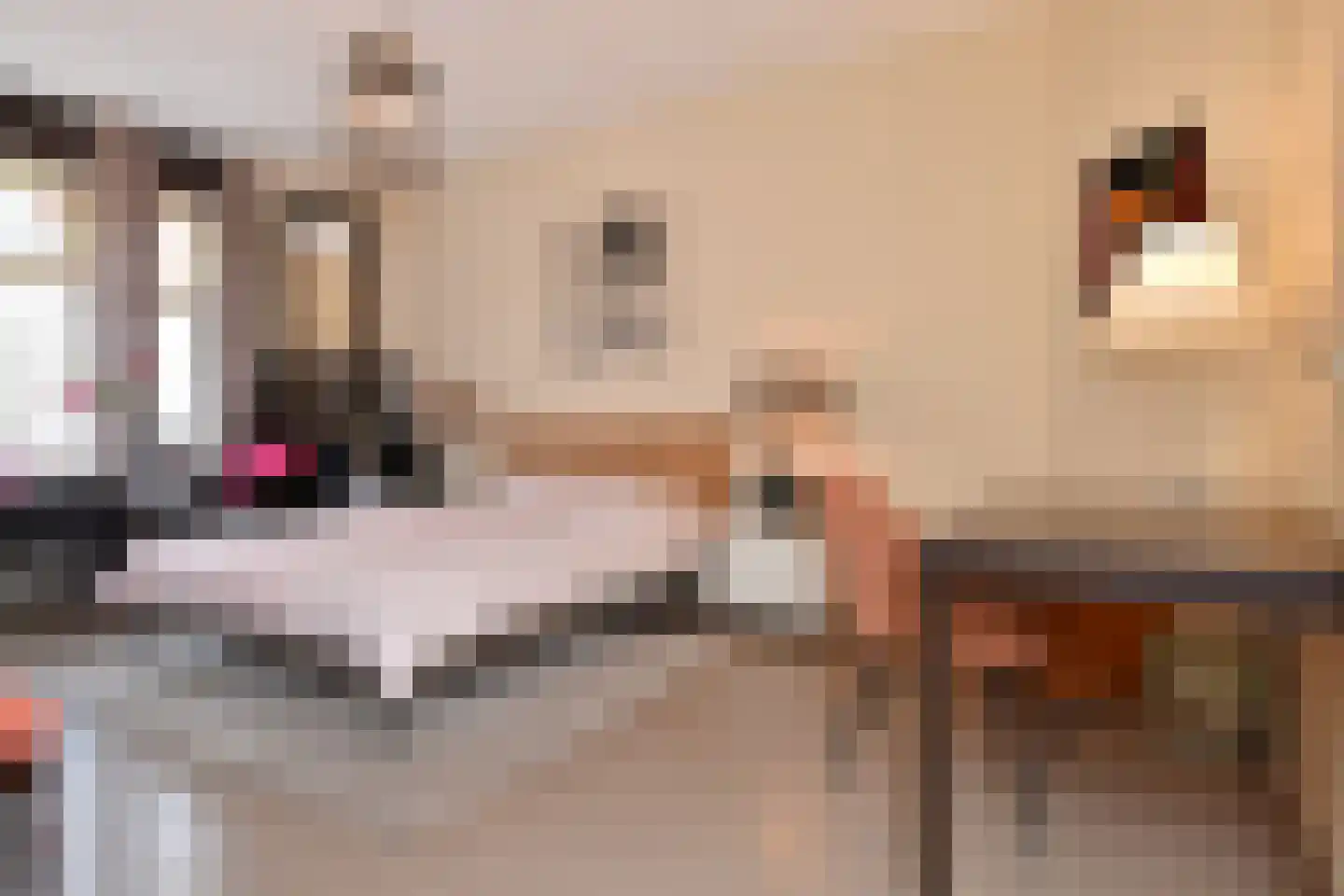 Apeldoornselaan 64 Den Haag thumbnail 9