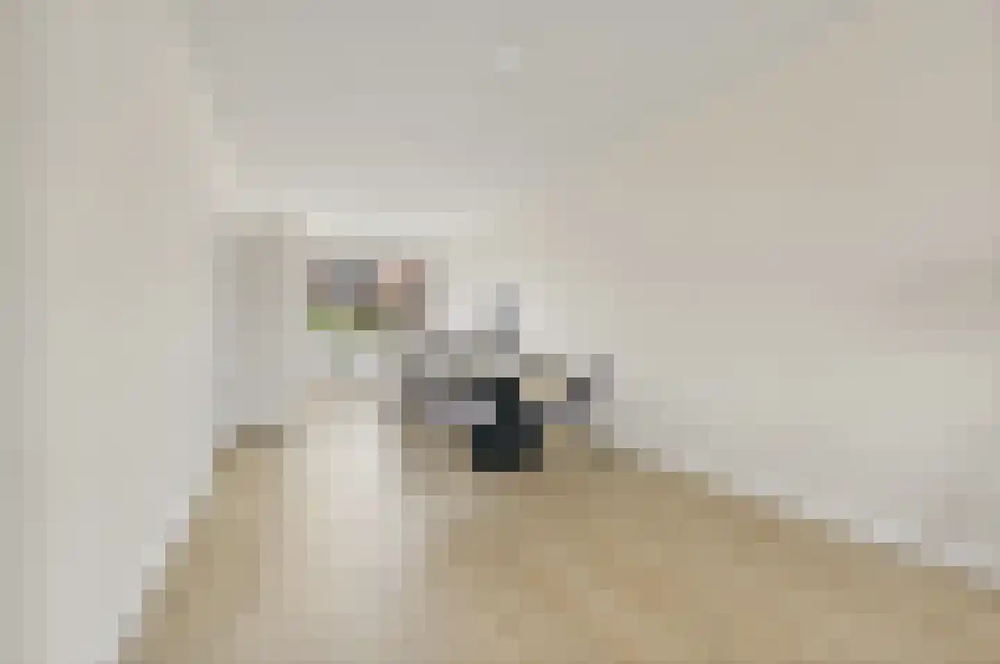 Apeldoornselaan 81 Den Haag thumbnail 11
