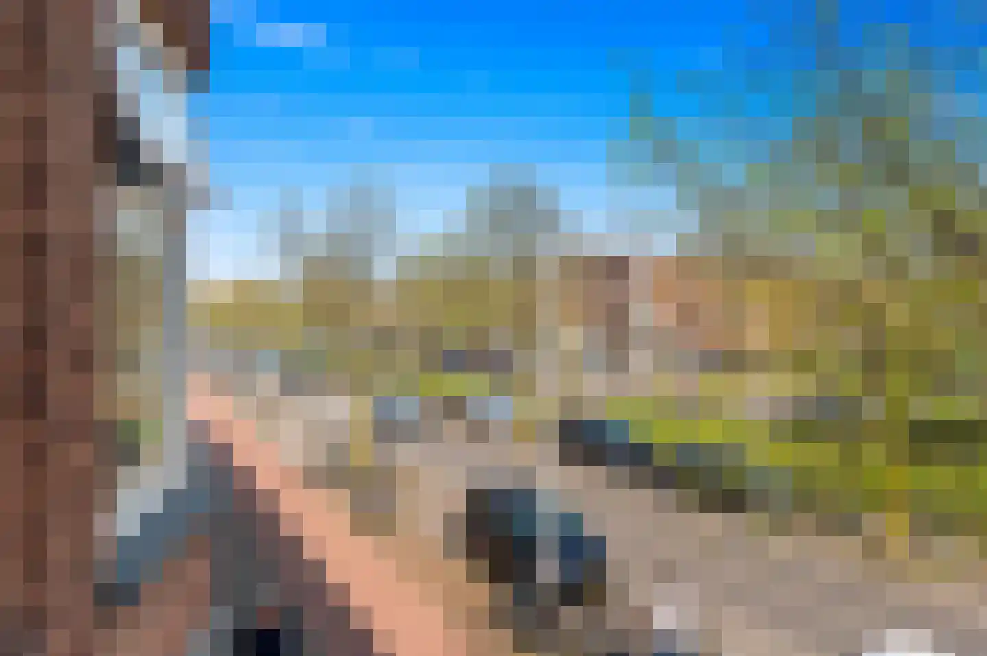 Apeldoornselaan 81 Den Haag thumbnail 30
