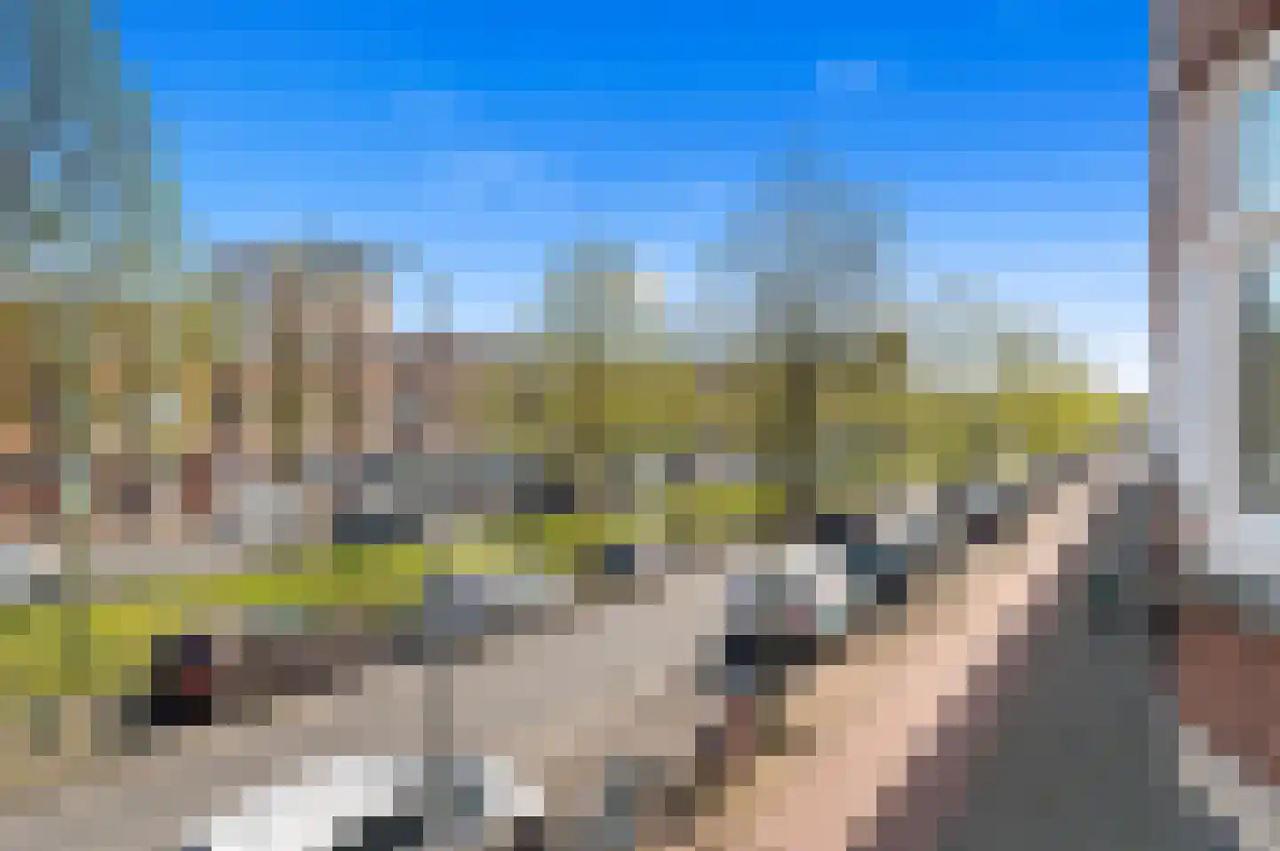 Apeldoornselaan 81 Den Haag thumbnail 31