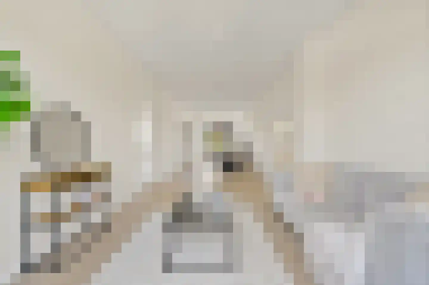Apeldoornselaan 81 Den Haag thumbnail 8