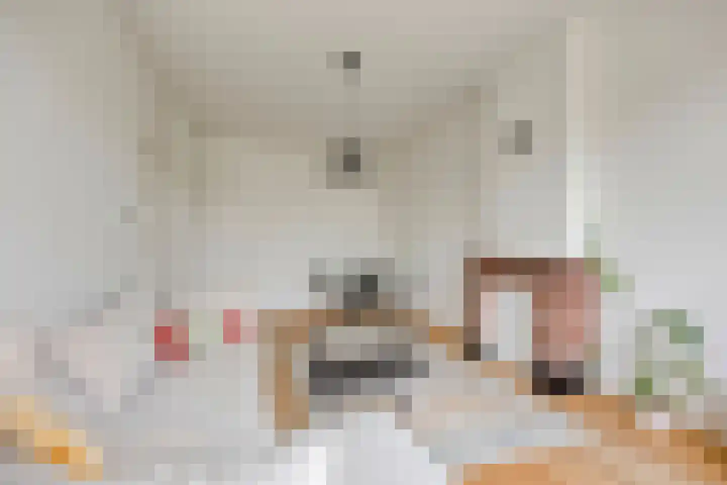 Apeldoornselaan 83 Den Haag thumbnail 12