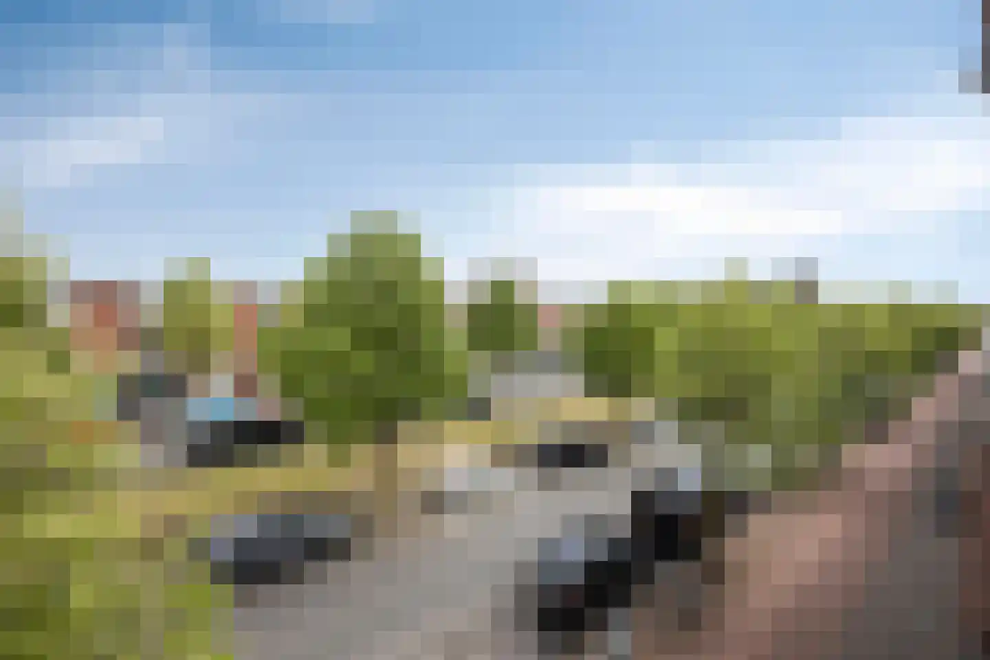 Apeldoornselaan 83 Den Haag thumbnail 13
