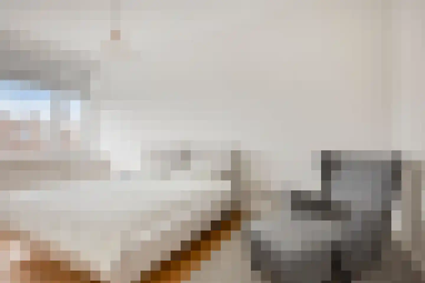 Apeldoornselaan 83 Den Haag thumbnail 16