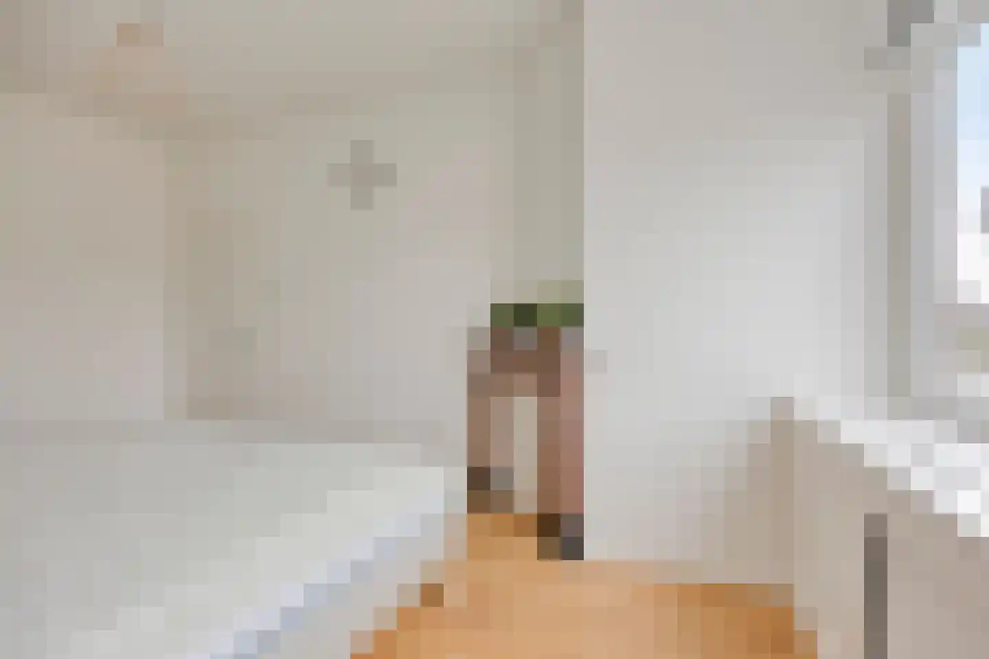 Apeldoornselaan 83 Den Haag thumbnail 17