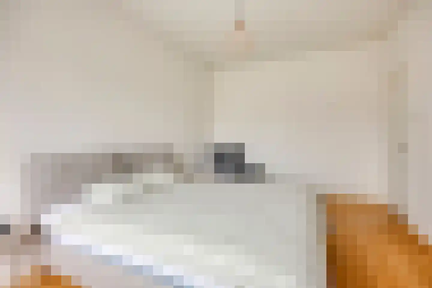 Apeldoornselaan 83 Den Haag thumbnail 18