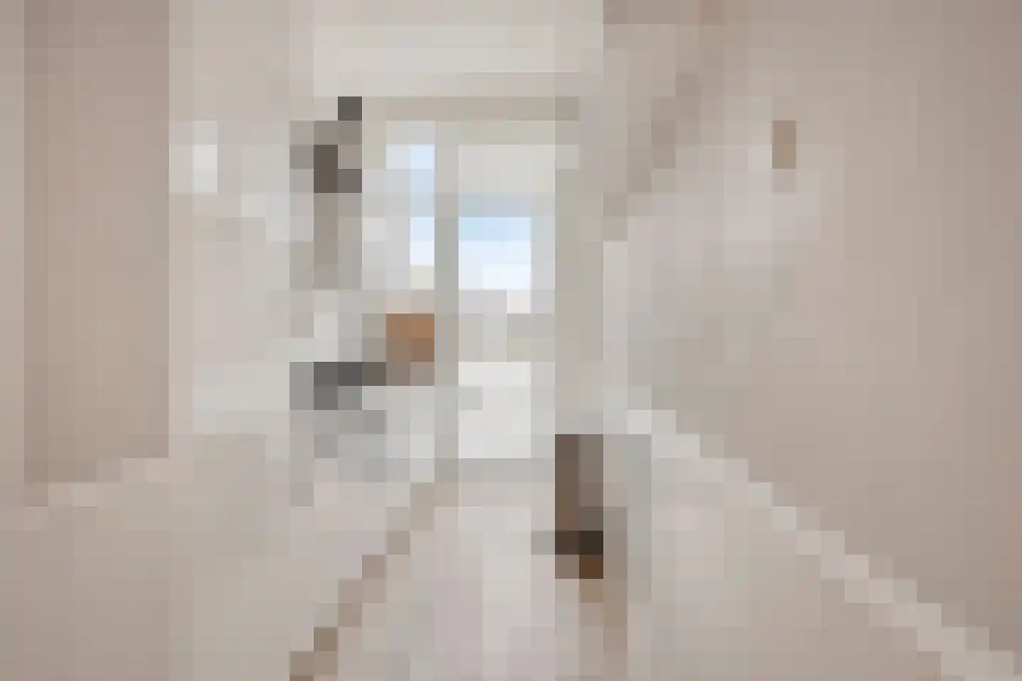 Apeldoornselaan 83 Den Haag thumbnail 21