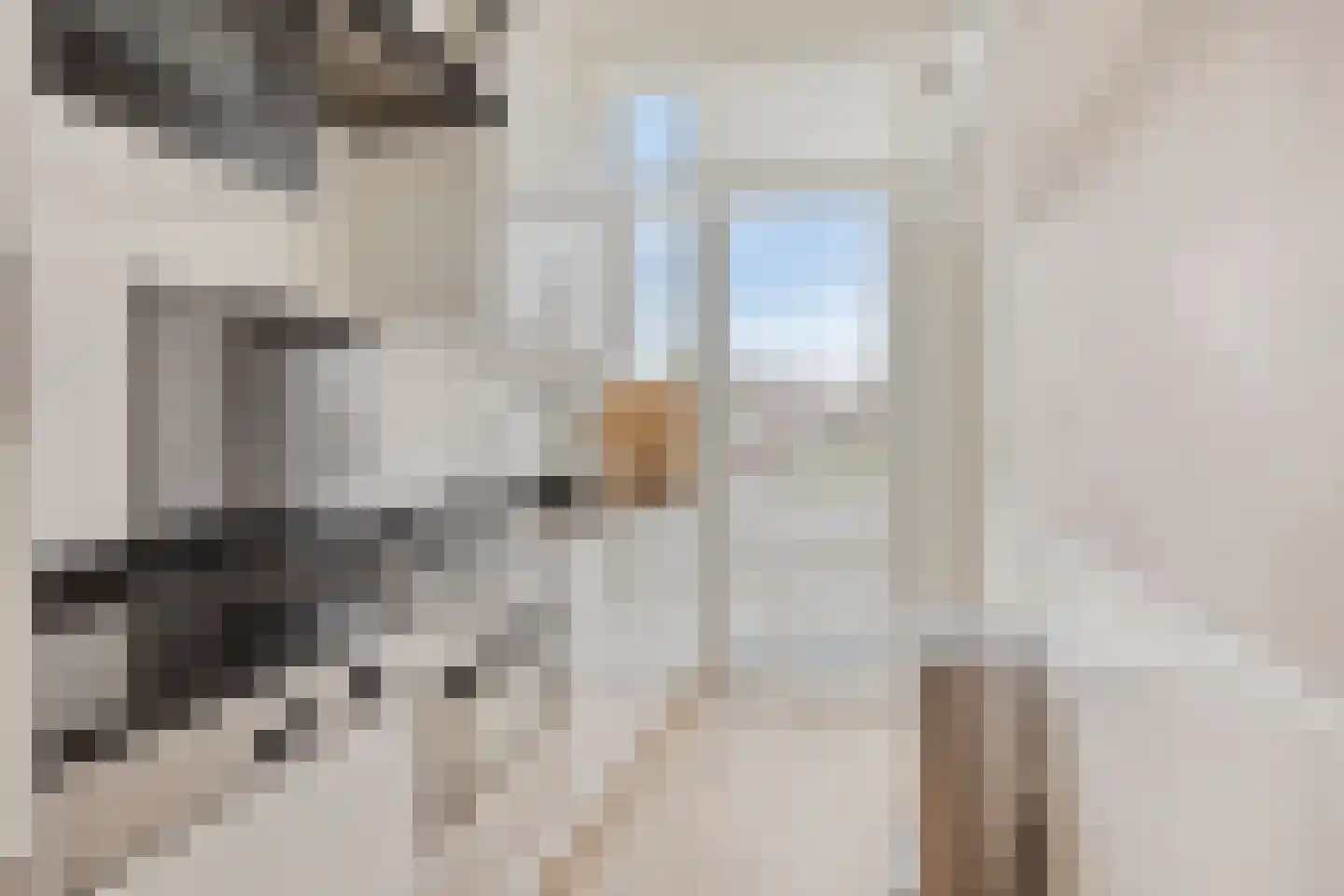 Apeldoornselaan 83 Den Haag thumbnail 22