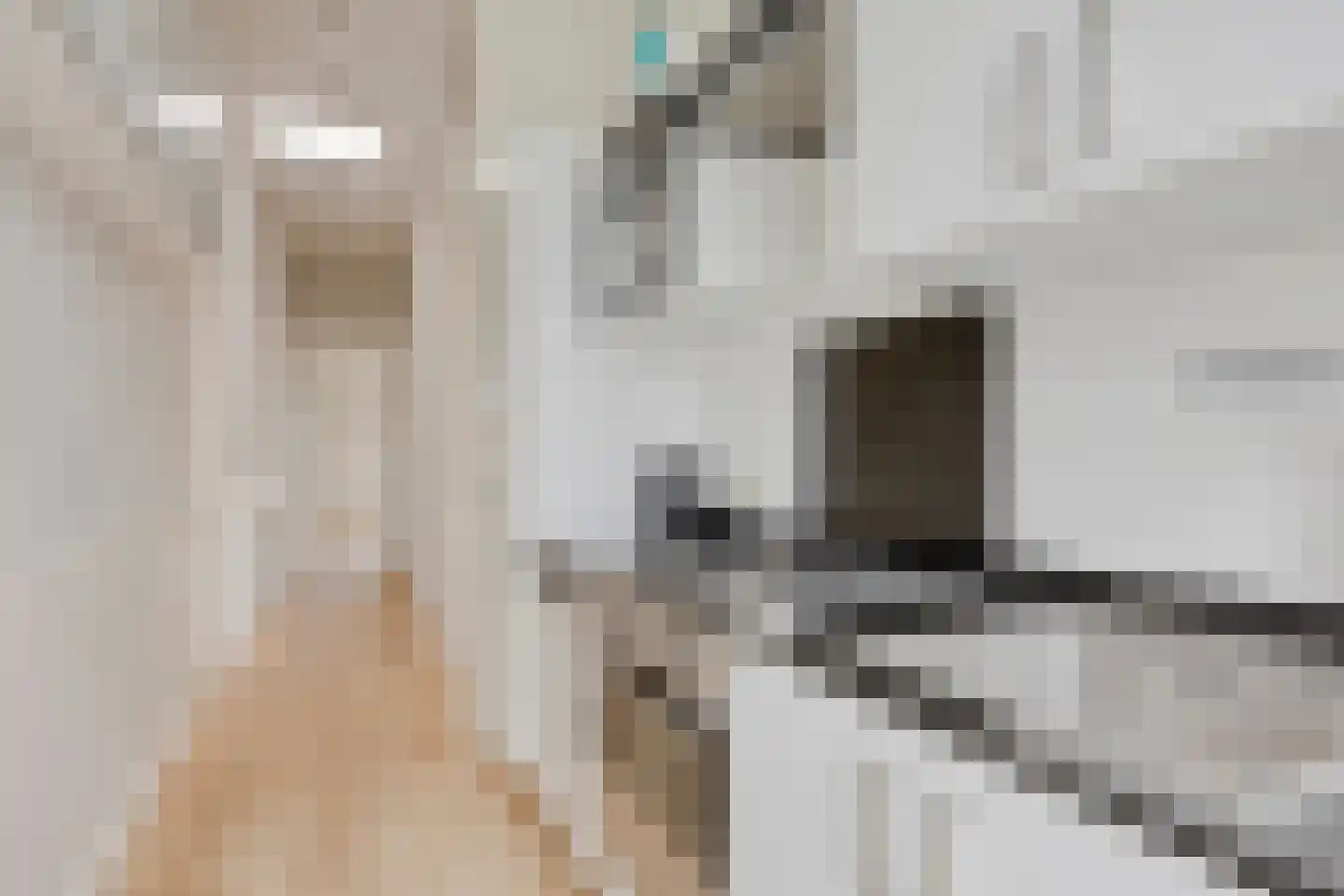 Apeldoornselaan 83 Den Haag thumbnail 23