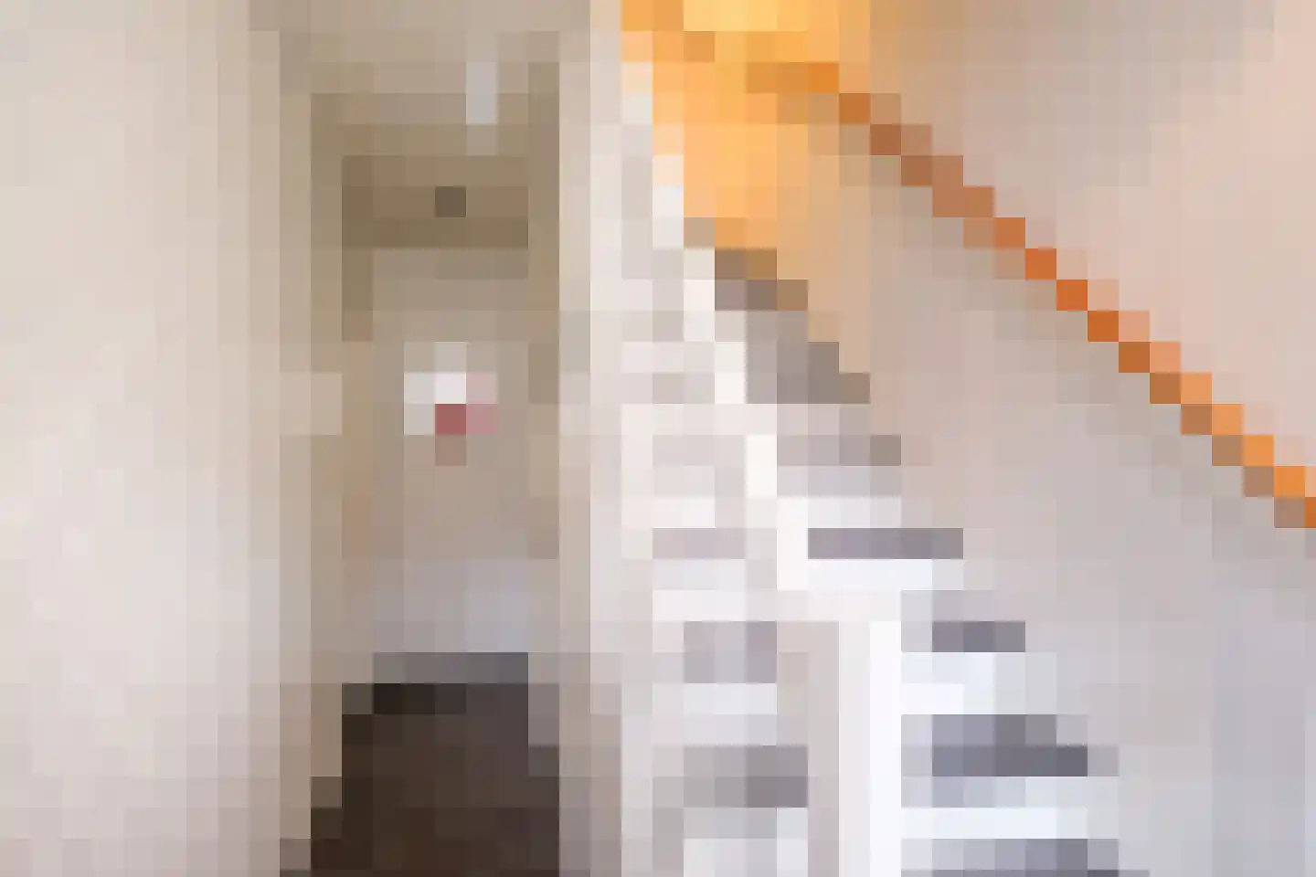 Apeldoornsestraat 17 Kampen thumbnail 11