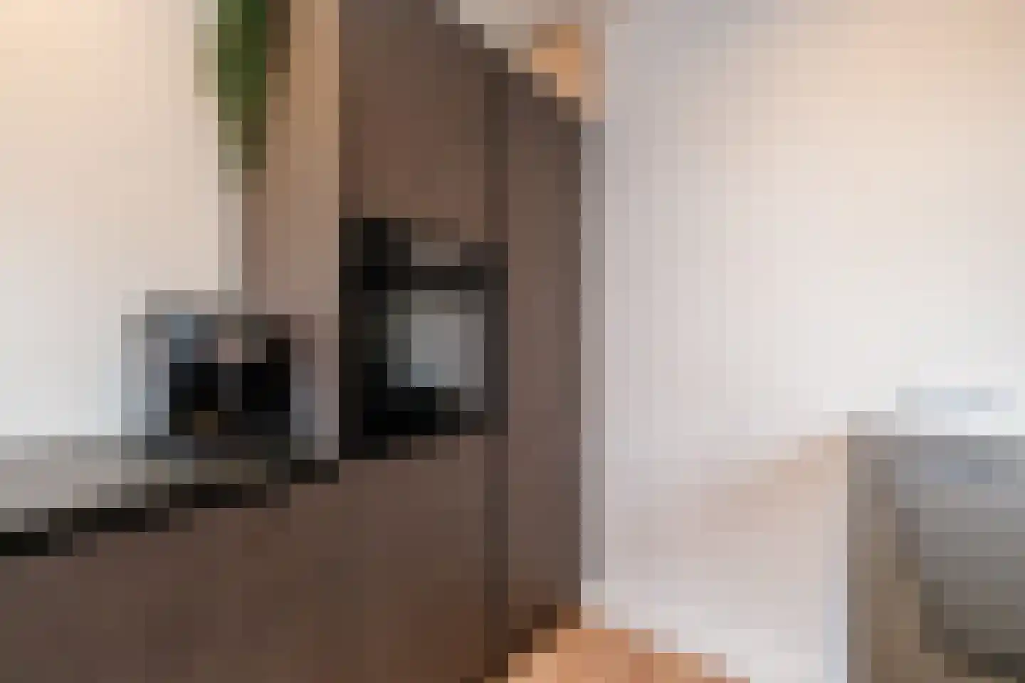Apeldoornsestraat 17 Kampen thumbnail 21