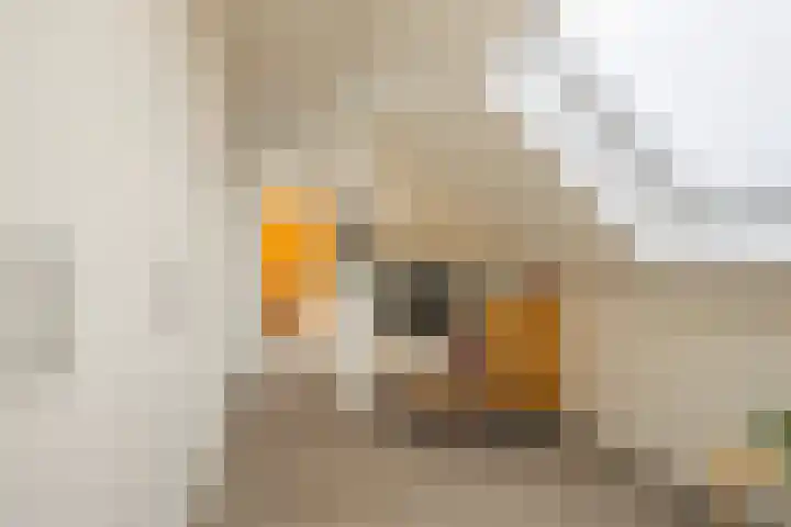 Apeldoornsestraat 19 Voorthuizen thumbnail 18