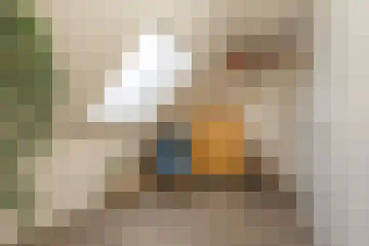 Apeldoornsestraat 19 Voorthuizen thumbnail 19