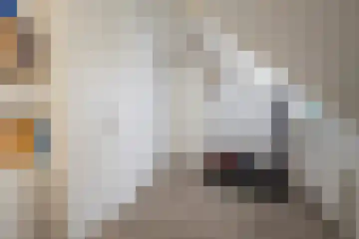 Apeldoornsestraat 19 Voorthuizen thumbnail 24
