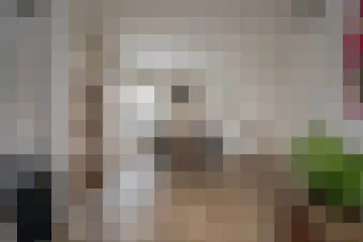 Apeldoornsestraat 19 Voorthuizen thumbnail 5