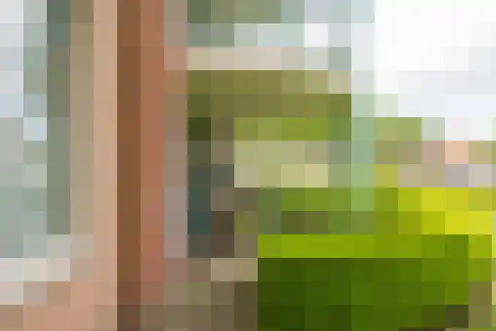Apeldoornsestraat 2 B Voorthuizen thumbnail 14
