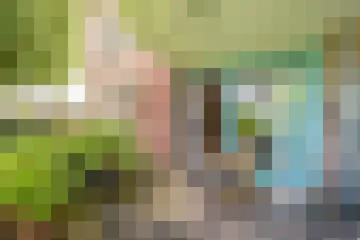 Apeldoornsestraat 2 B Voorthuizen thumbnail 15