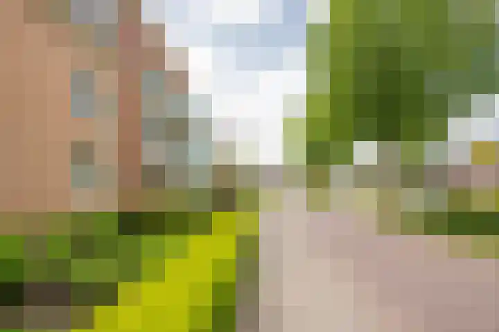 Apeldoornsestraat 2 B Voorthuizen thumbnail 35