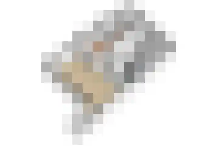 Apeldoornsestraat 2 B Voorthuizen thumbnail 37