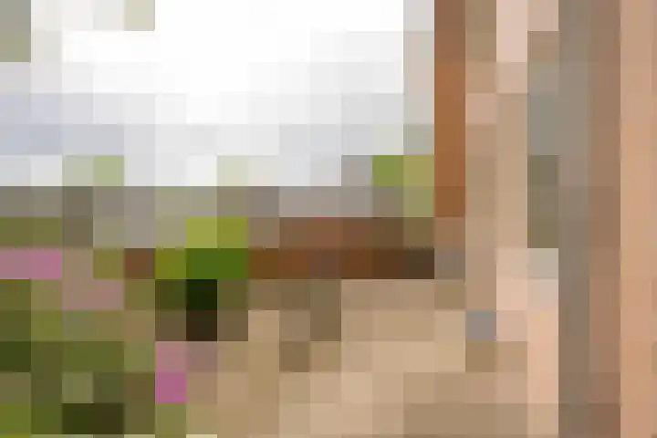Apeldoornsestraat 2 B Voorthuizen thumbnail 5