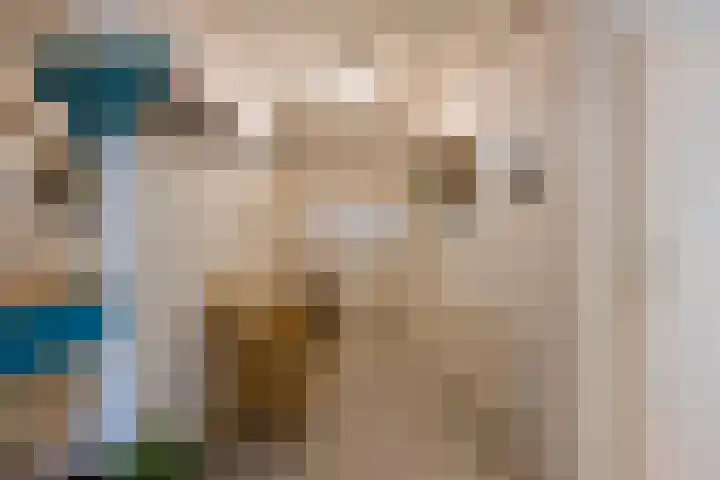 Apeldoornsestraat 2 B Voorthuizen thumbnail 9