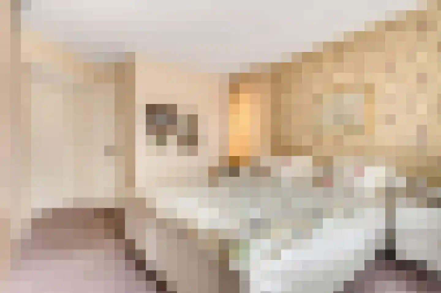 Apeldoornsestraat 24 Voorthuizen thumbnail 13