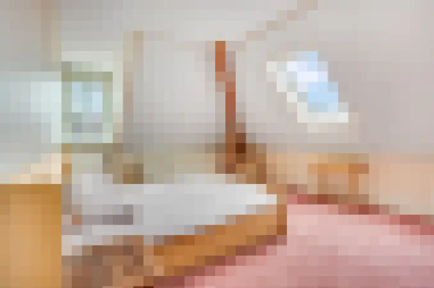 Apeldoornsestraat 24 Voorthuizen thumbnail 24
