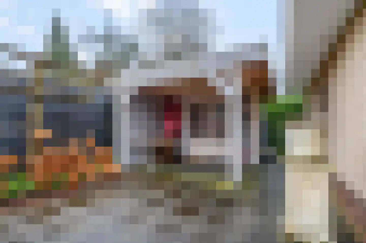 Apeldoornsestraat 24 Voorthuizen thumbnail 34