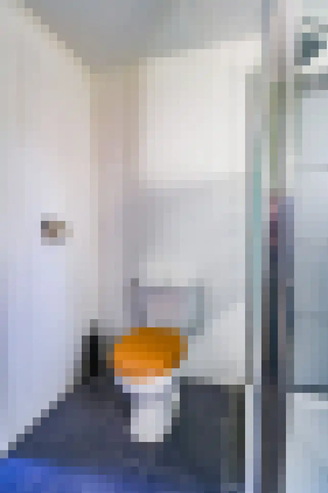 Apeldoornsestraat 48 06 Voorthuizen thumbnail 17