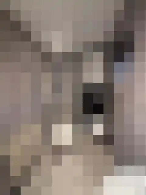 Apeldoornsestraat 48 116 Voorthuizen thumbnail 23