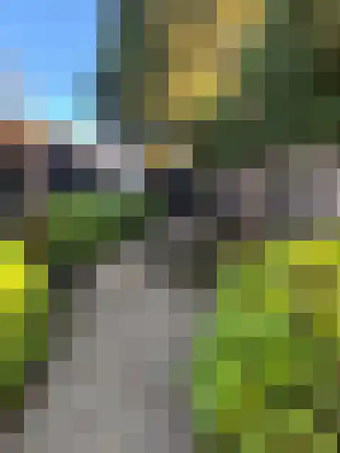 Apeldoornsestraat 48 116 Voorthuizen thumbnail 5