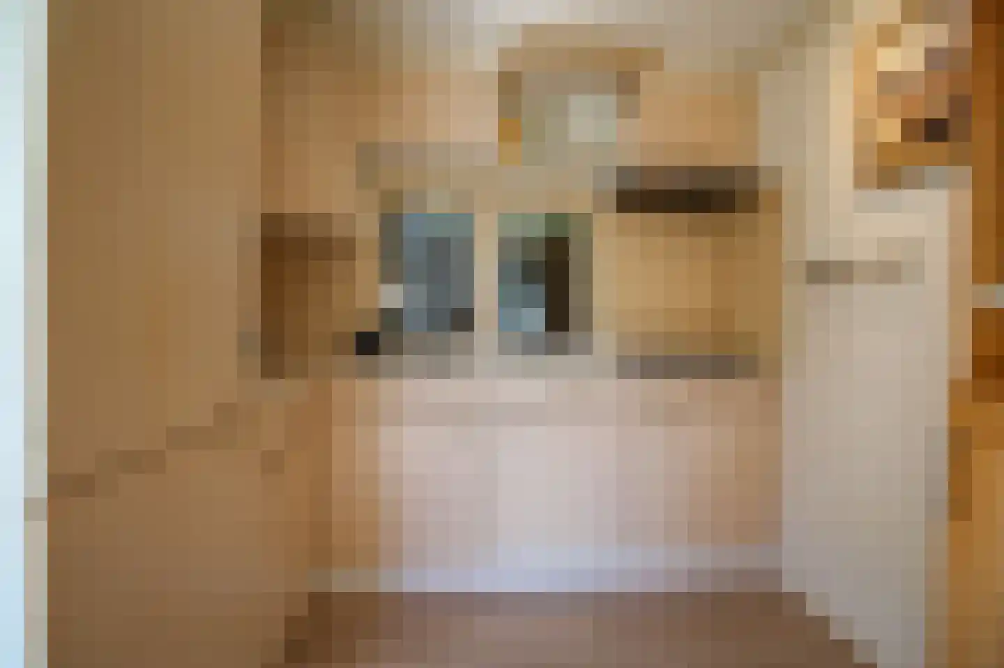 Apeldoornsestraat 48 121 Voorthuizen thumbnail 10