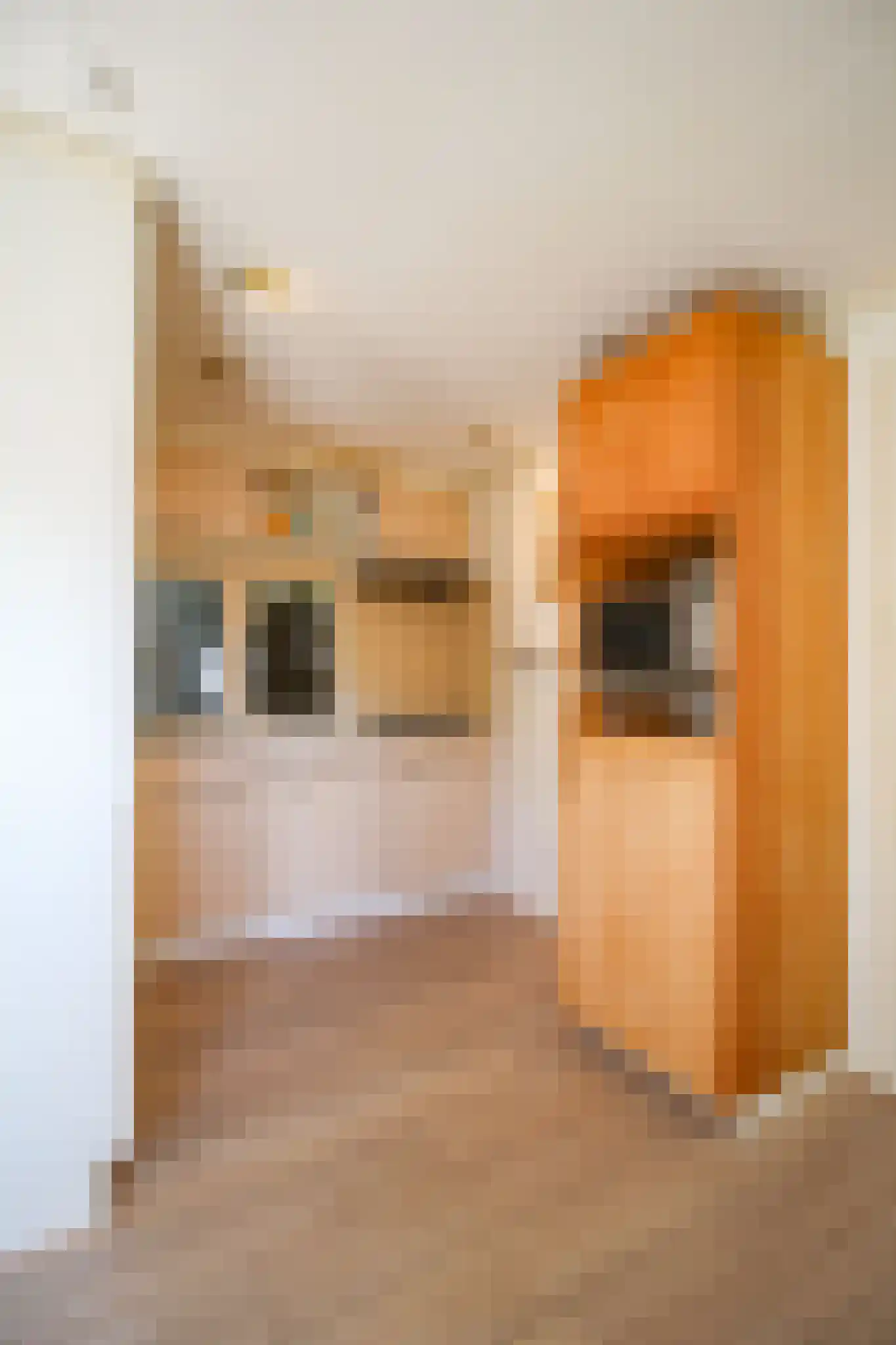 Apeldoornsestraat 48 121 Voorthuizen thumbnail 11