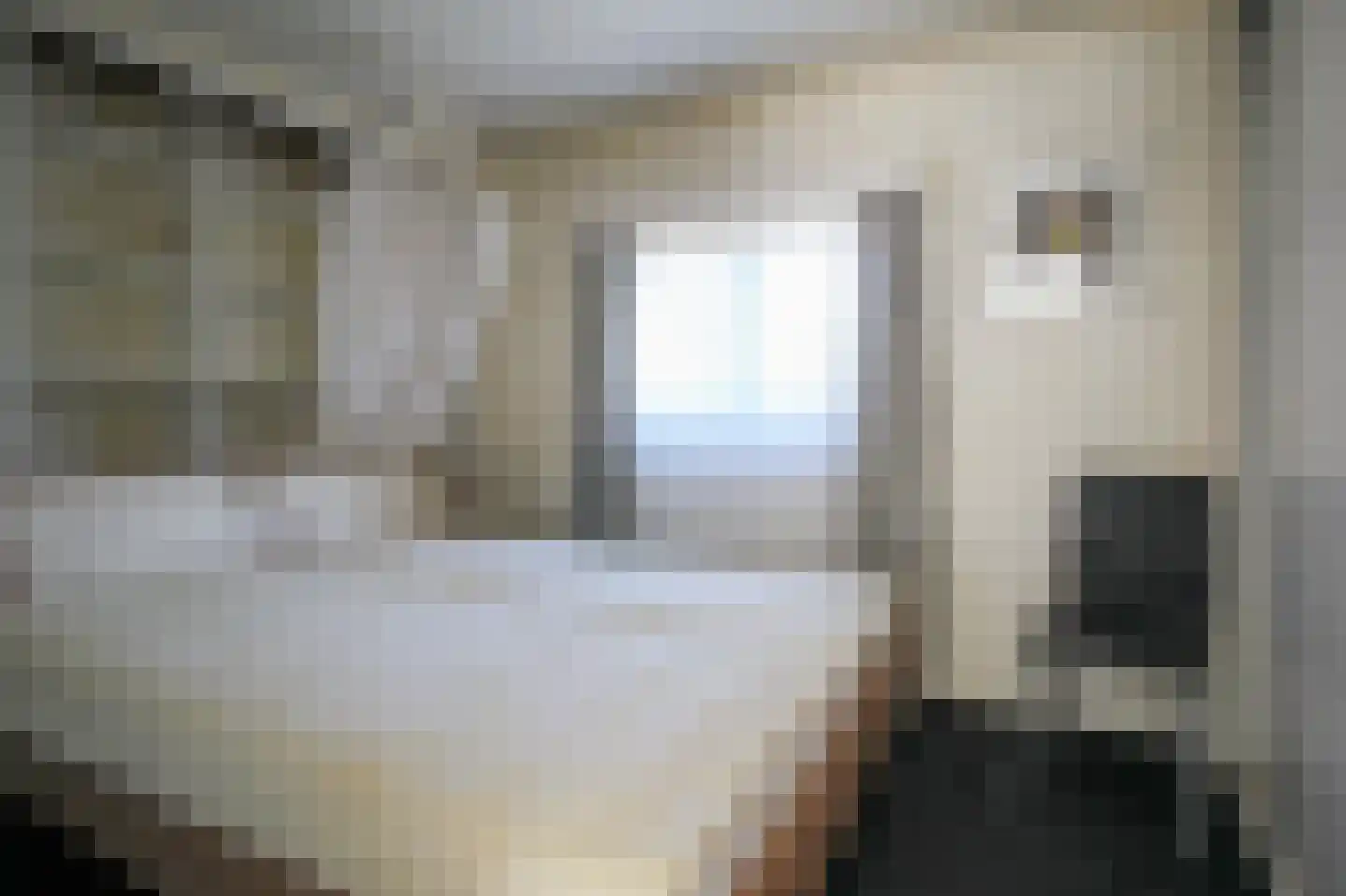 Apeldoornsestraat 48 121 Voorthuizen thumbnail 12