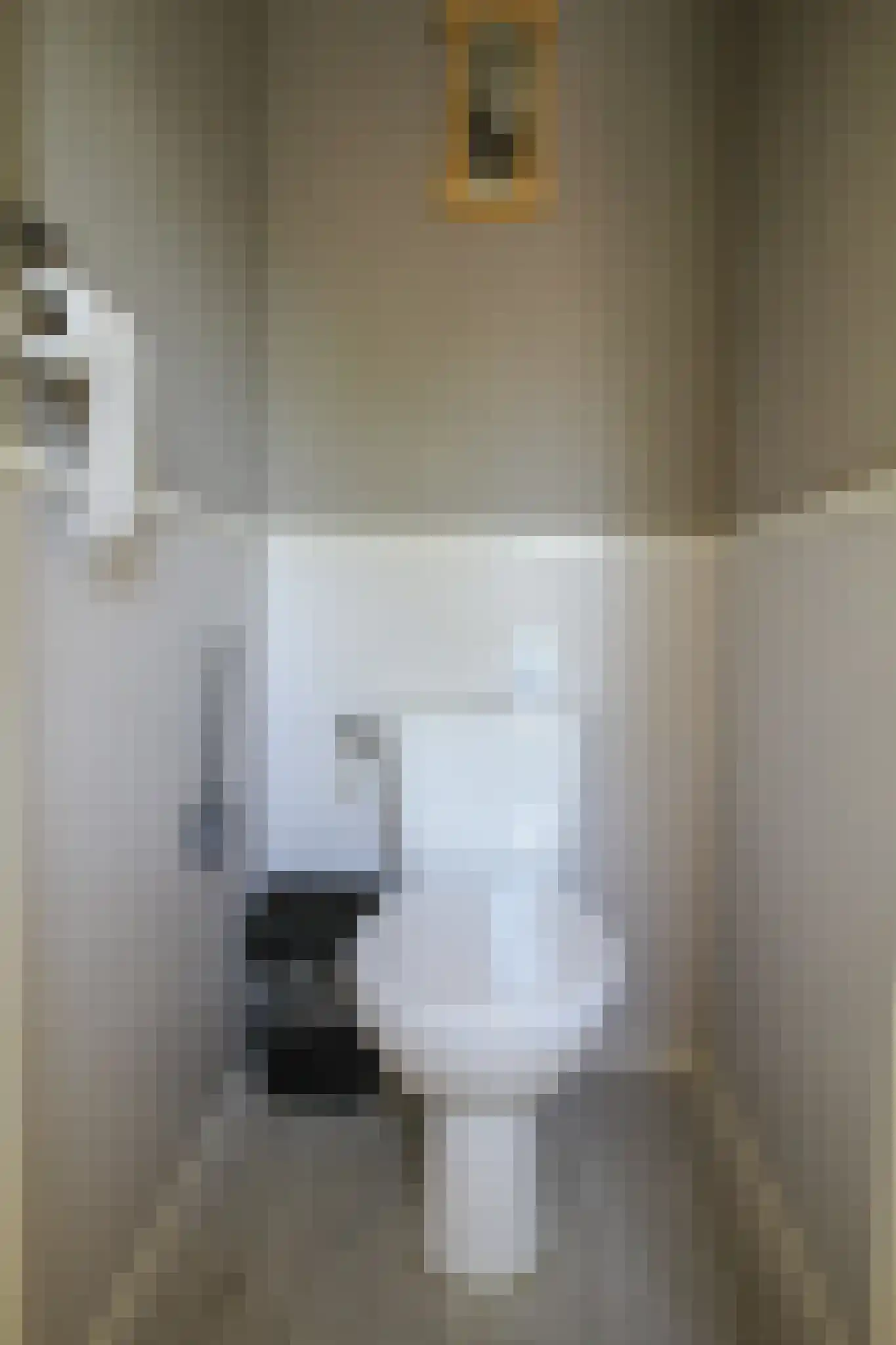 Apeldoornsestraat 48 121 Voorthuizen thumbnail 18