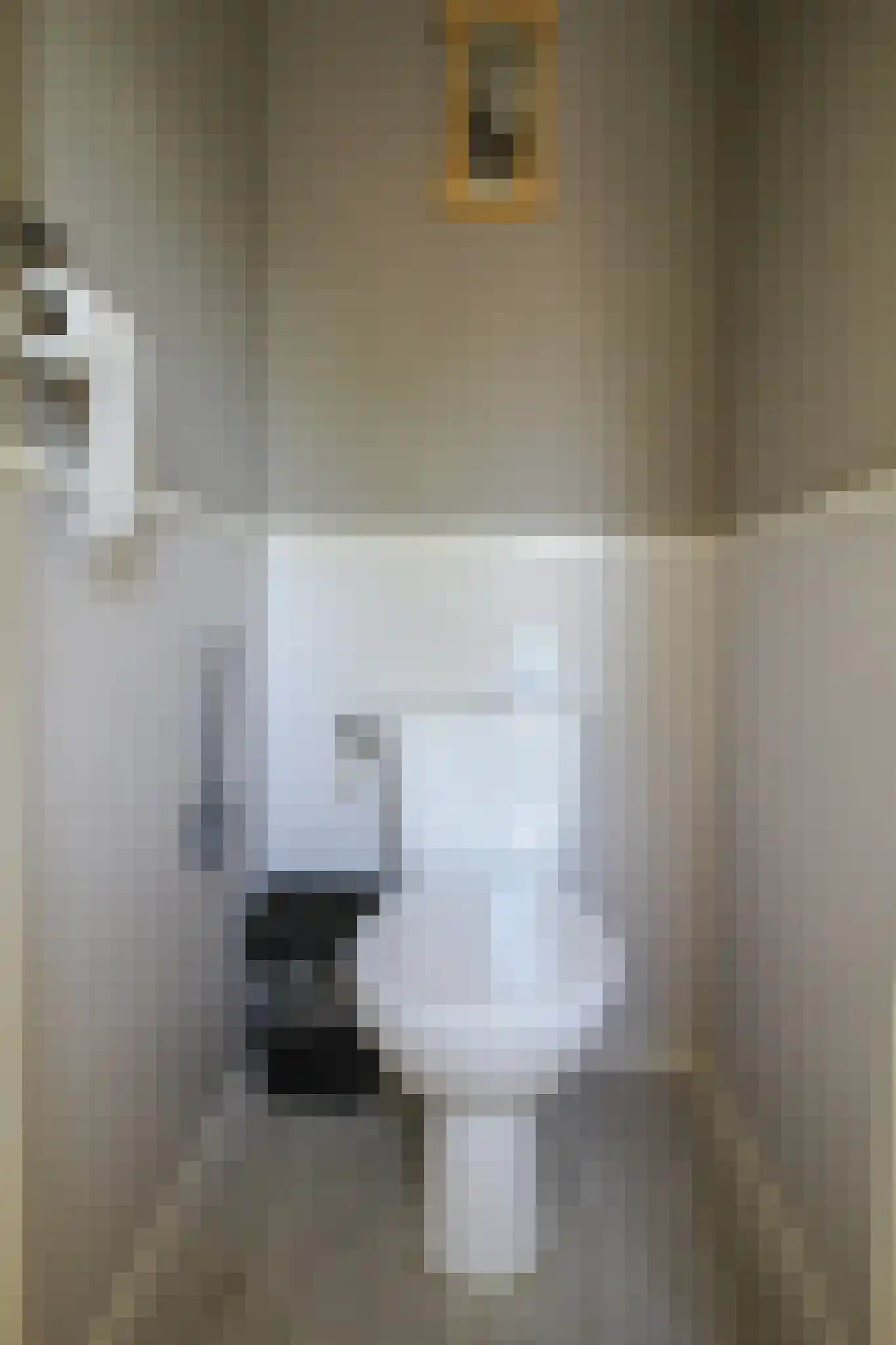 Apeldoornsestraat 48 121 Voorthuizen thumbnail 18