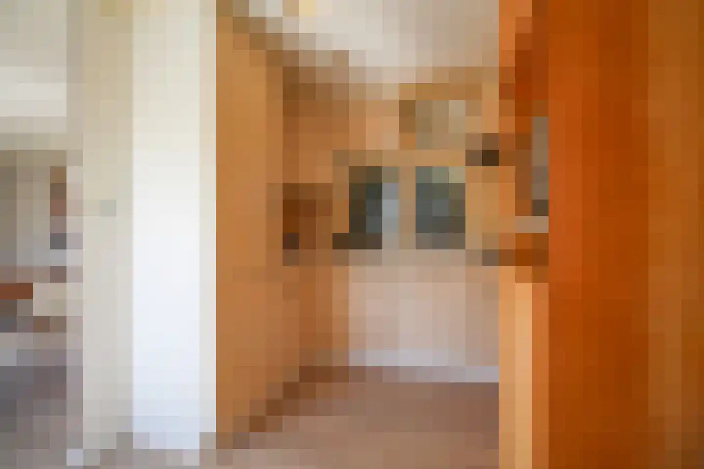 Apeldoornsestraat 48 121 Voorthuizen thumbnail 9
