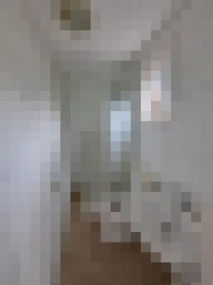 Apeldoornsestraat 48 122 Voorthuizen thumbnail 9