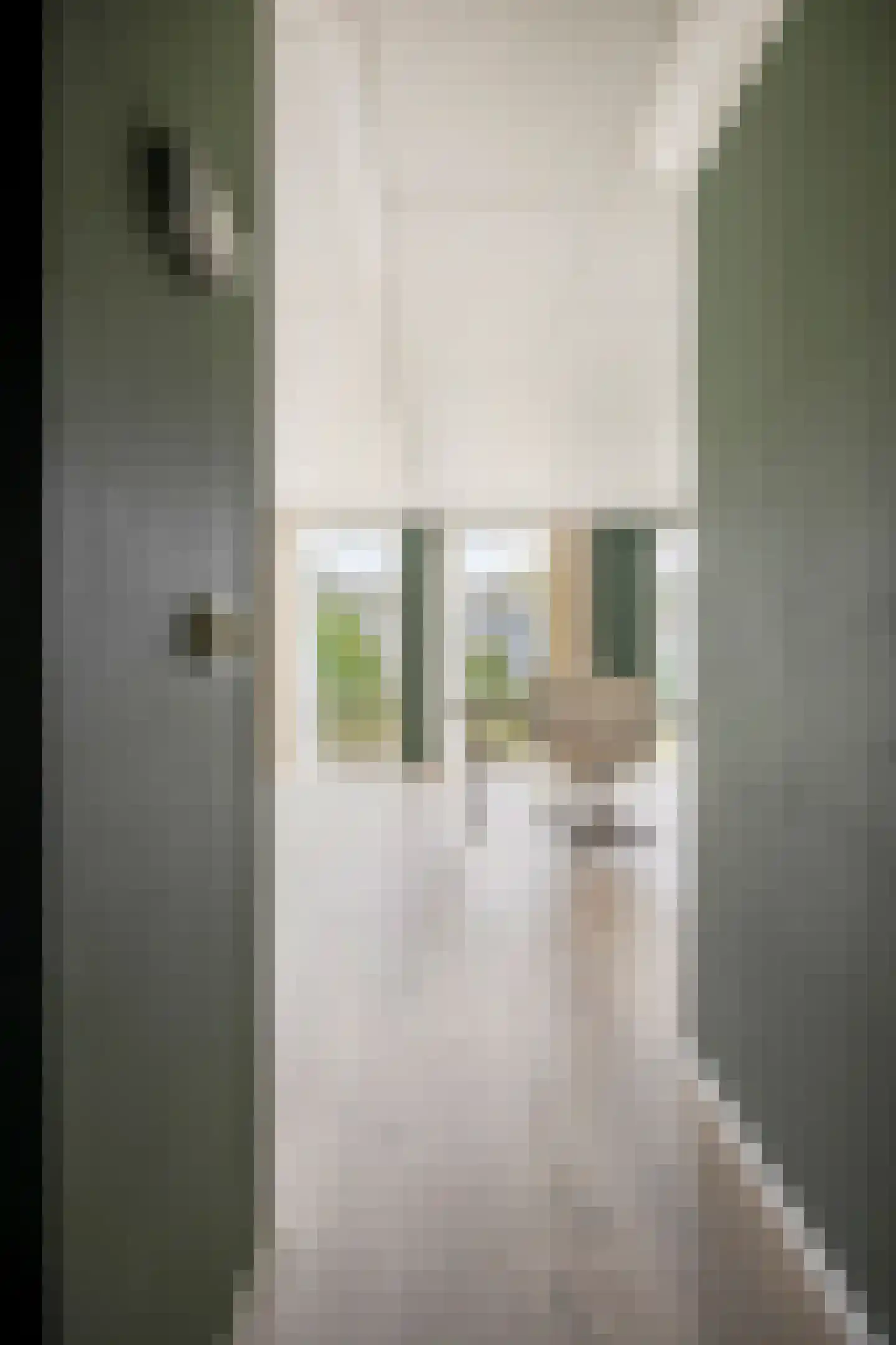 Apeldoornsestraat 48 128 Voorthuizen thumbnail 12