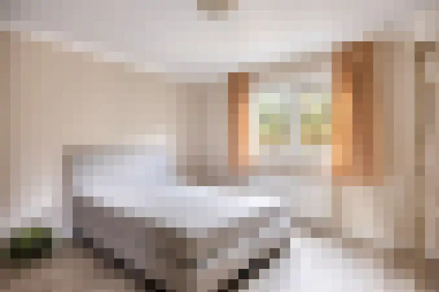 Apeldoornsestraat 48 128 Voorthuizen thumbnail 21