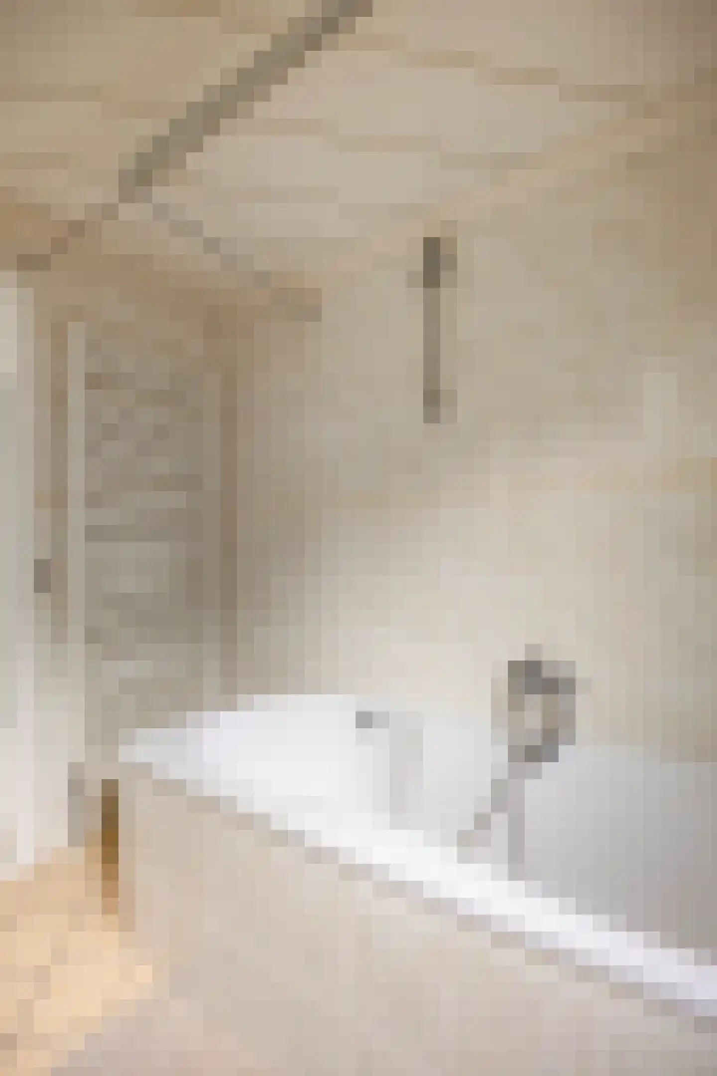 Apeldoornsestraat 48 128 Voorthuizen thumbnail 26