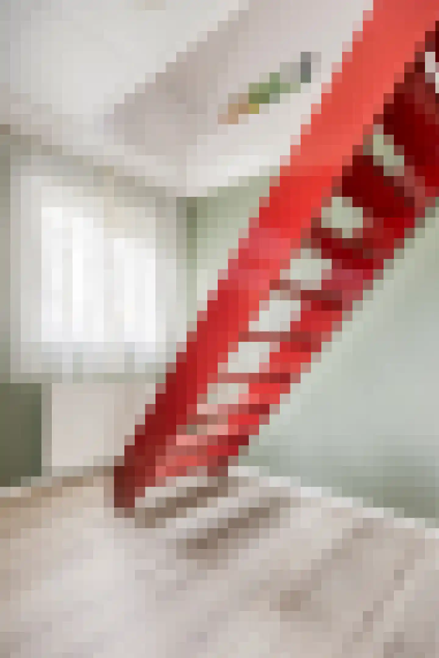Apeldoornsestraat 48 128 Voorthuizen thumbnail 27