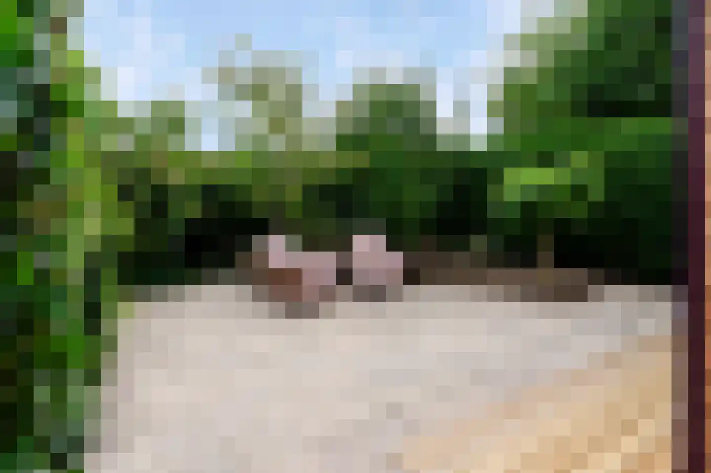 Apeldoornsestraat 48 143 Voorthuizen thumbnail 22