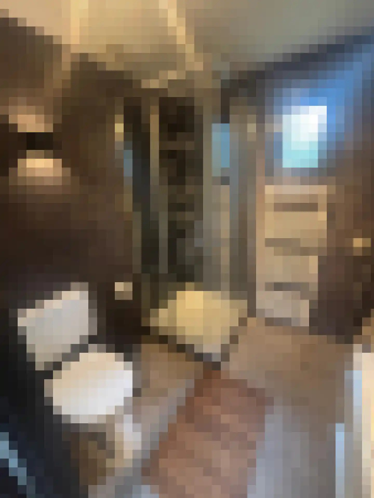 Apeldoornsestraat 48 144 Voorthuizen thumbnail 16
