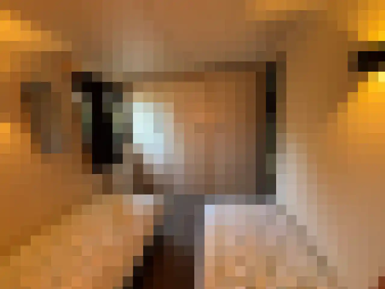 Apeldoornsestraat 48 144 Voorthuizen thumbnail 21