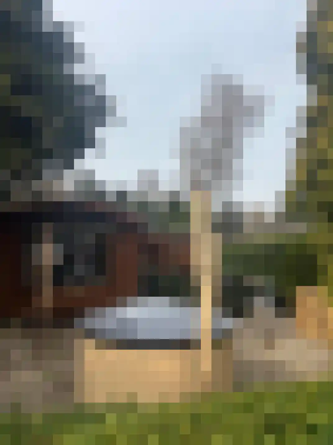 Apeldoornsestraat 48 144 Voorthuizen thumbnail 25