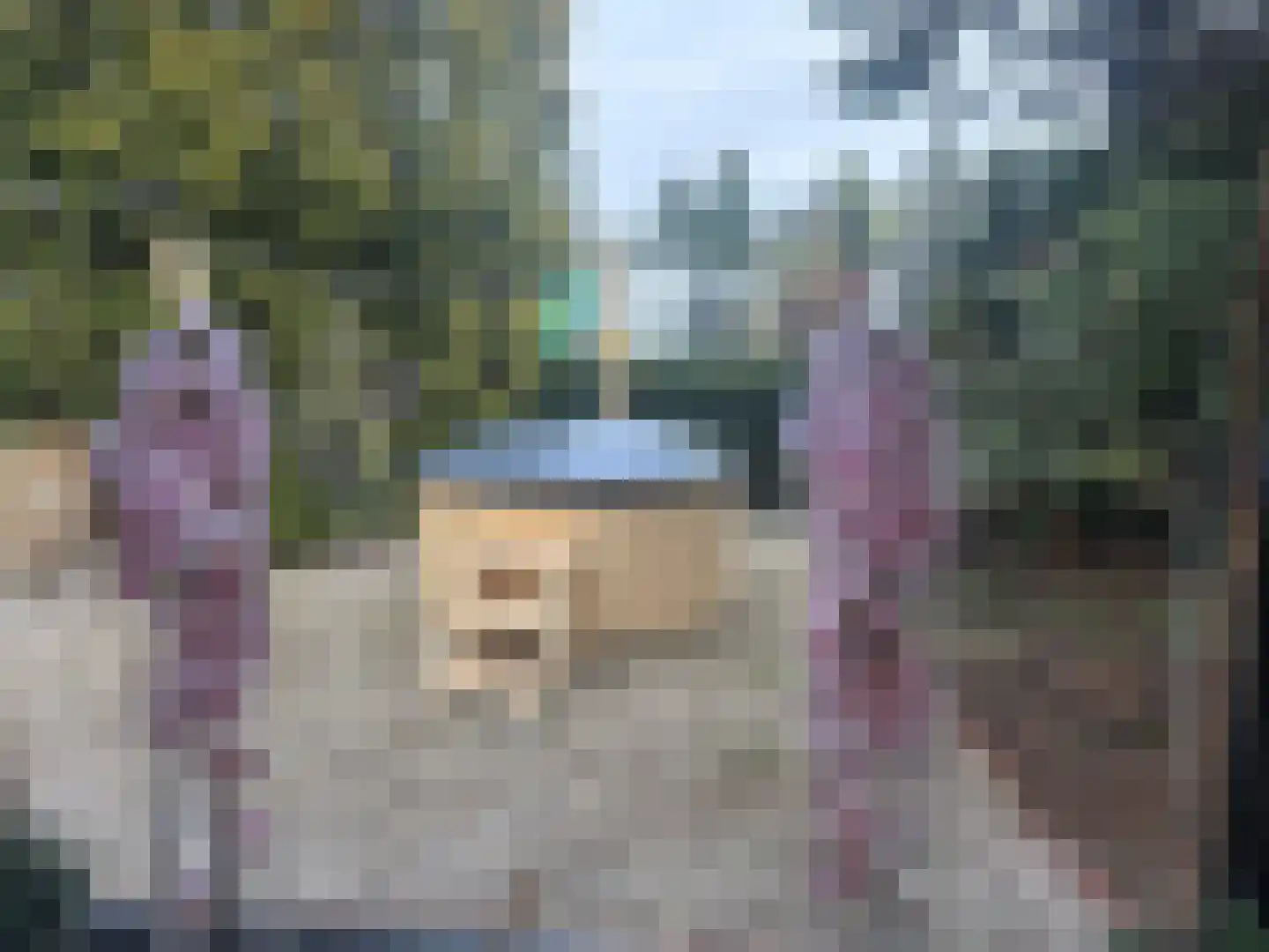 Apeldoornsestraat 48 144 Voorthuizen thumbnail 26